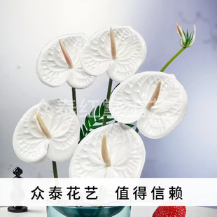 ���ֵ�t�Ʋ��÷��滨��Y��ɫ�����ɼٻ��[���b���