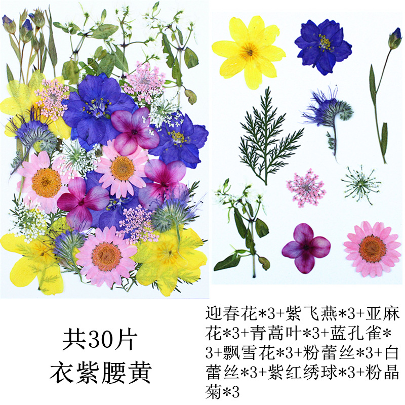 보라색 허리 노란색