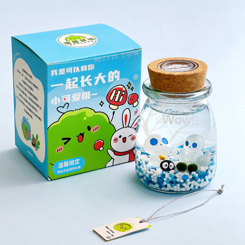 marimo happy seaweed ball micro landscape ecological bottle glass bottle mini potted creative gift hydroponic plant