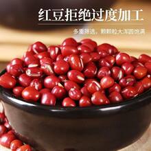 �|���¼t���r���Ԯa�tС���t��޲�����С���A�t������s�Z����؛