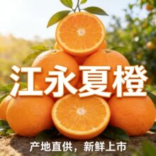 夏季当季橙子新鲜水果榨汁专用整箱批发多汁大果脆甜果园直发包邮