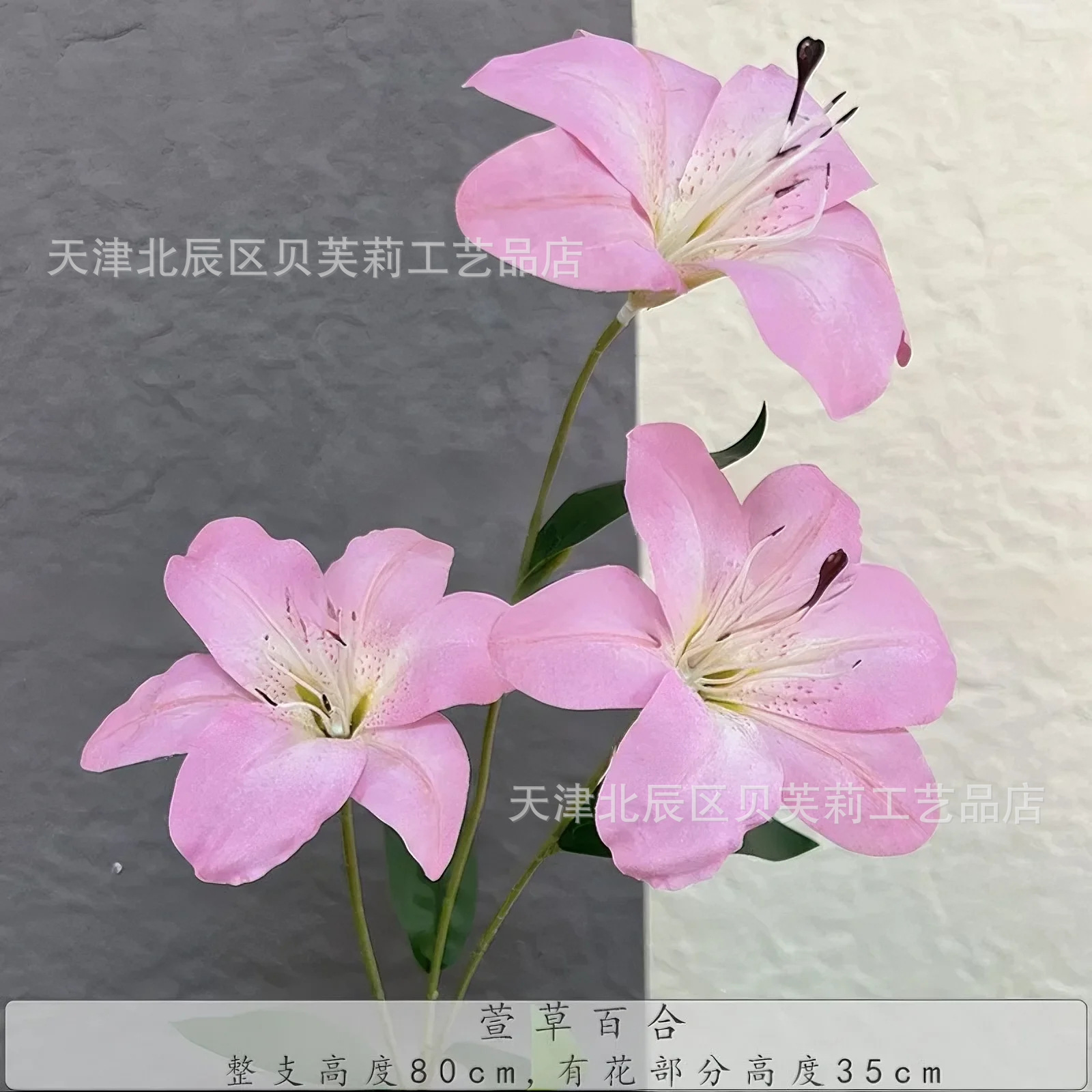 헤메로칼리스 릴리-핑크