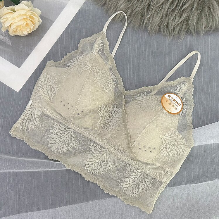 우유 재-1 팩 [3 일 전용]]