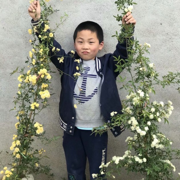 黄木香花苗爬藤植物浓香红木香蔷薇花卉庭院攀援白木香大苗
