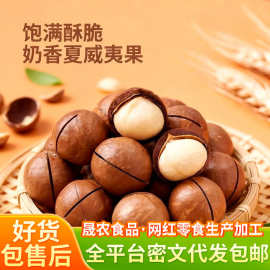 批发代发夏威夷果坚果零食奶油味散装带壳开口手剥500g