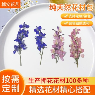 wow定制带枝飞燕干花押花标本DIY滴胶台灯蜡烛美甲相框押花材料