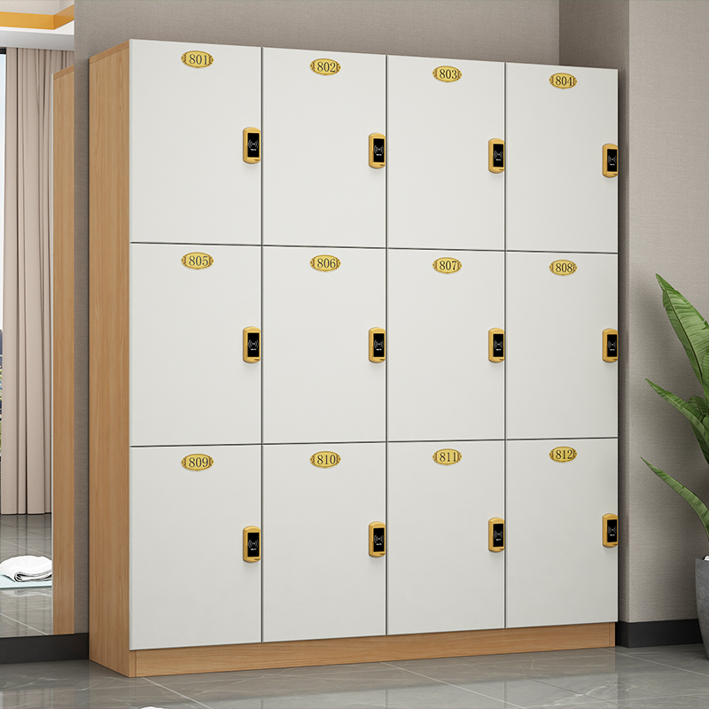 Locker, Gym Locker, Yoga Storage, Hair Salon Locker with Lock, Hotel Locker, Conference Room Locker, Storage Cabinet