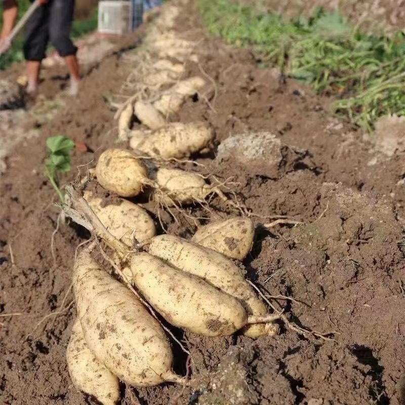 fb4da47c-5d18-467d-944d-c3862475a254.jpe