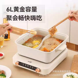 新F电火锅电热锅多功能锅家用涮火锅电火锅6L鸳鸯锅FTHG-R173