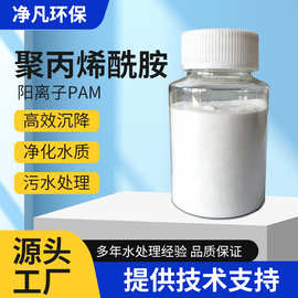 聚丙烯酰胺阳离子PAM混凝剂工业絮凝剂养殖洗砂废水处理净滤水质