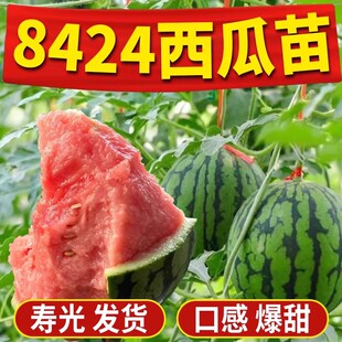8424�������̨�������������ˮ���߲��������������������N��