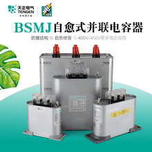天正電氣BSMJ0.4/0.45/0.48自愈式低壓無功補償並聯電力電容器