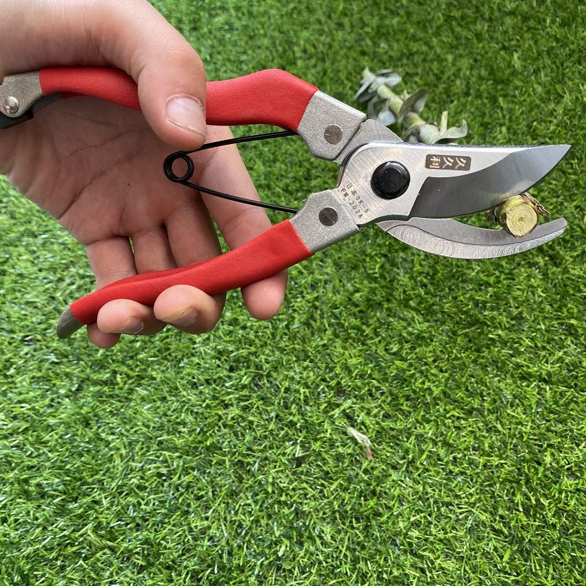 fc206b7e-fccf-4c73-9f45-67546f