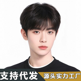 Wig Men's Short Hair Summer Thin Yang Redundant Same Style Korean Style Differential Broken Cover Fluffy Natural Men's Full Head Cover