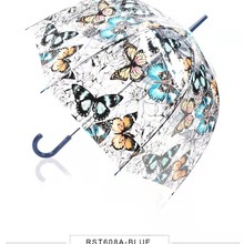 INSW݌m͢L㹰͂͸ԄӂŮɐŮ