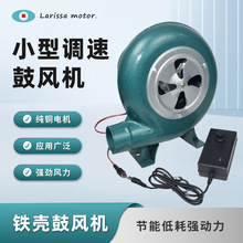 ���lС��40W���L�C12V220V늄ӑ��������ȼ�t��偠t�x��ʽ���L�C