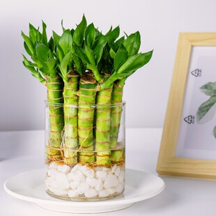 �҃�������ˮ��С�����_�\Сɭ����֧���F���Ĳ������ļ����B