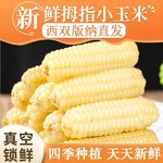 ������˫����ĴָС�������ʴ���С��ָ���������ͯ���״���