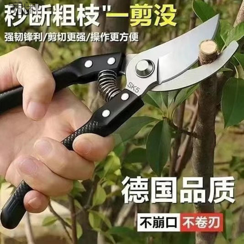 原装日本VVT进口SK5强力园艺修枝剪新款园林家用省力款花枝园艺剪