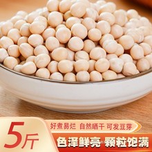 5㶹 rԷN㶹㶹ɰlѿؑcСl