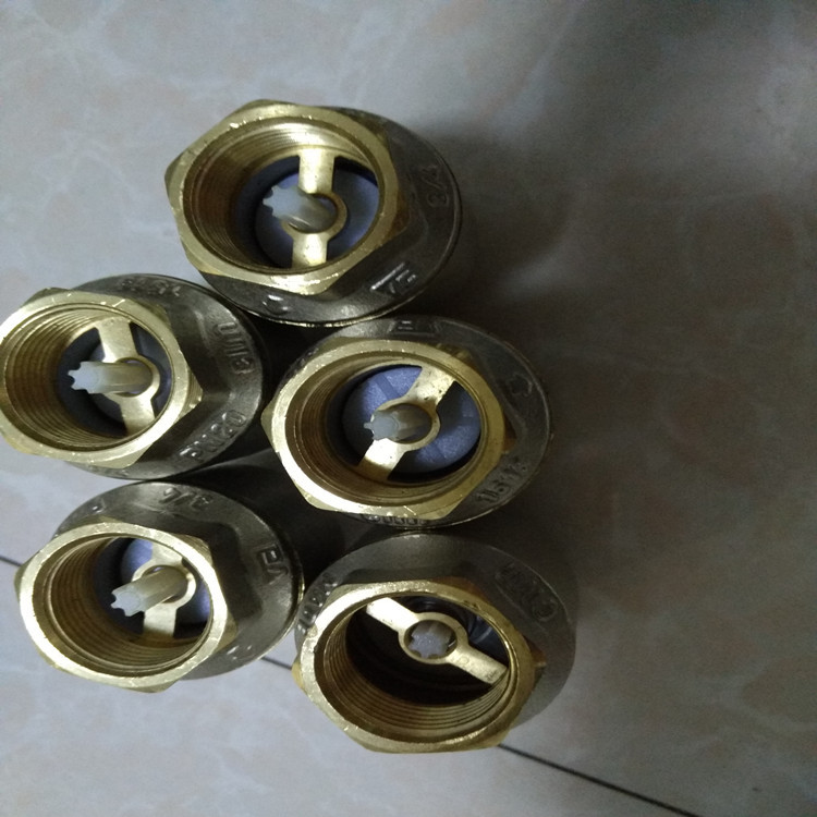 CIM30弹簧式止回阀_意大利CIM30DK弹簧止回阀_CIM30VA弹簧止回阀