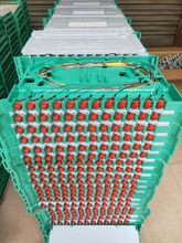 12о���w�Pһ�w���бPfc�A�^sc���^����ɶ˺й��w�P30CM���Ў���