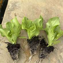 ���������������������ļ����r�߲��̨���ˎ�������