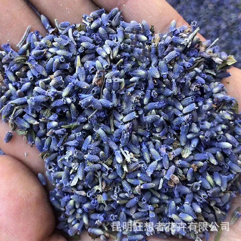 Natural dried flower lavender seed can be handmade DIY mosquito repellent sachet sleep aid Natural dried flower lavender seed can be handmade DIY mosquito repellent sachet sleep aid