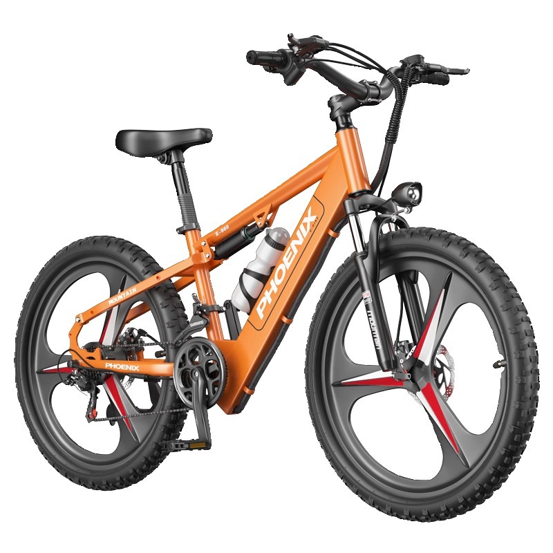 Bicicletas eléctricas asistidas por Phoenix Vehículo eléctrico masculino para mujeres Bicicletas eléctricas asistidas por litio Bicicletas de viaje