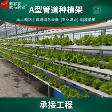 无土栽培设备植物工厂展示楼顶水培管道式叶菜蔬菜瓜果A型种植架