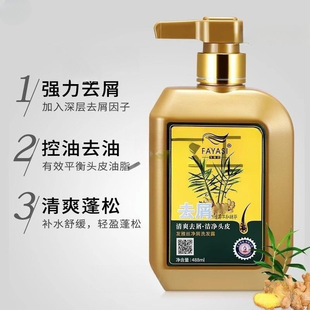 Dr. Fa Ya Si Ginger Shampoo Dandruff Control Oil Root Rehydration Shampoo Ginger Hair Restraint Hair Repair Hair Mold Massage