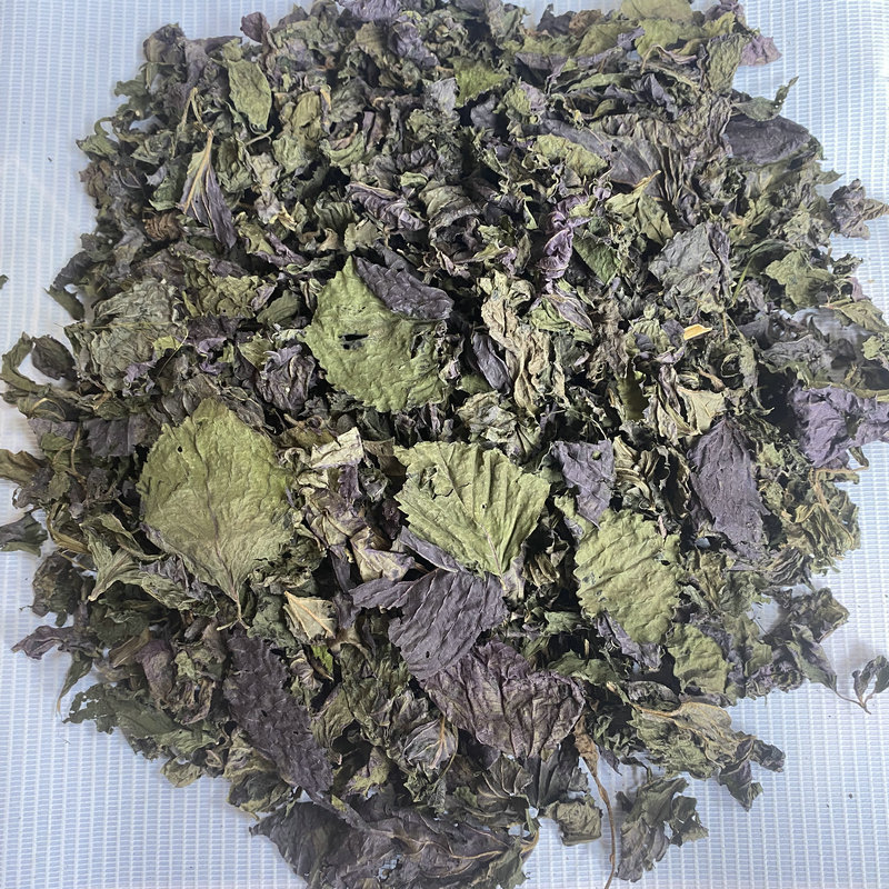 Dried Perilla Leaf Zi Su Ye 500g for Tea and Foot Soak in use