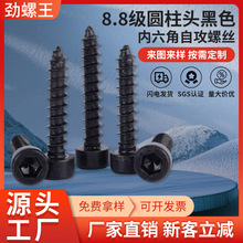 8.8��Բ��ͷ�������Թ���˿��ɫHA��ͷ�Թ���˿��M2/M3/M4/M5/M6