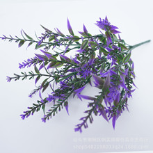 �F؛���R�d�ٻ� 7����~�� Ѭ�²� ���뻨���̿羳���滨�����b�