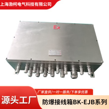 �����Ӿ���BT4/BT6/IIB/IIC����������������������P�316L��