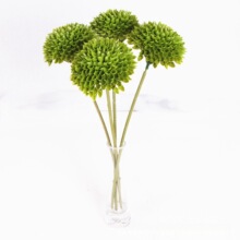 ����䳲����֧�R��C�����ѹ�Ӣ��c�廨�c�Y�b��ÔzӰ����