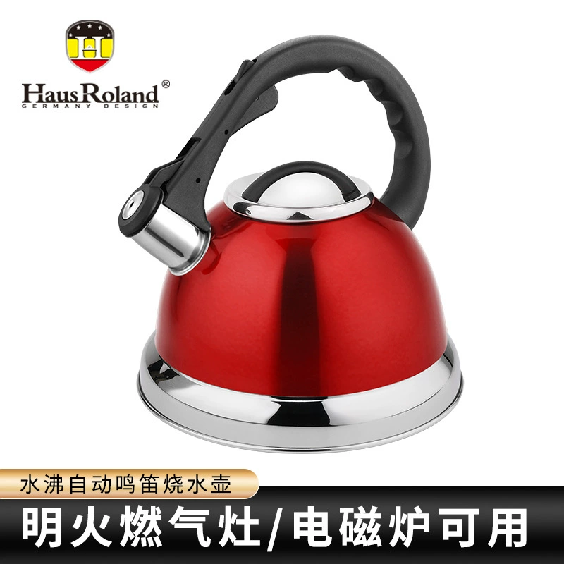 Чайник Hausroland из нержавеющей стали, 3 объёма