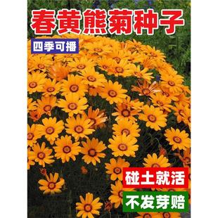 ���S�ܾշN�Ӷ������ļ����B�������S�ܾջ��ѿ��л��׷N��������