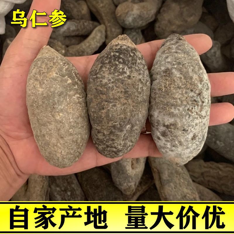 乌仁,(第12页)_大山谷图库