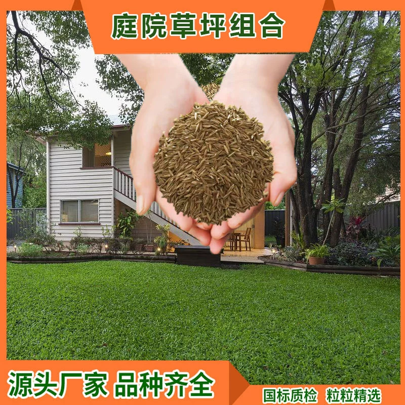 Смешанные семена газонов для двора, морозостойкие и термостойкие, экологическое ландшафтное озеленение, комбинированные семена травы для улицы, семена травы