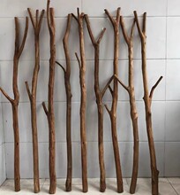 ��֦����b������L�b�ľ�����޴�ᣗU���b��ԭľ���U