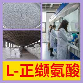 L-正缬氨酸 L-(+)-2-氨基戊酸 99%含量工业客户满意是我们的宗旨