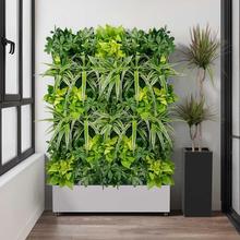 �̨�Ԅӝ�ˮֲ����ܑ���ͥԺ�����Ƅ��߲˷Nֲ�ܾGֲ��������