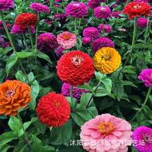 ղݻNlļ׷NվջNѻɫ҃⻨N