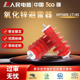 互感器;避雷器;开关元件