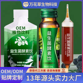 植物饮料代加工沙棘原浆枸杞原浆贴牌饮料定制源头工厂oem批发