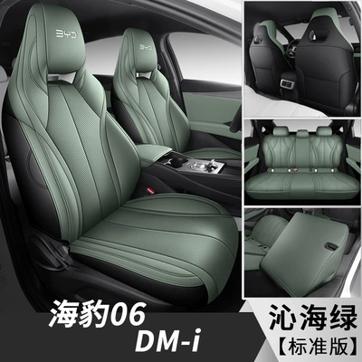 Full Cushion Leather Car Cushion – Four Seasons Pad - qinhai-green-standard-edition-fl-byd-seal-06d