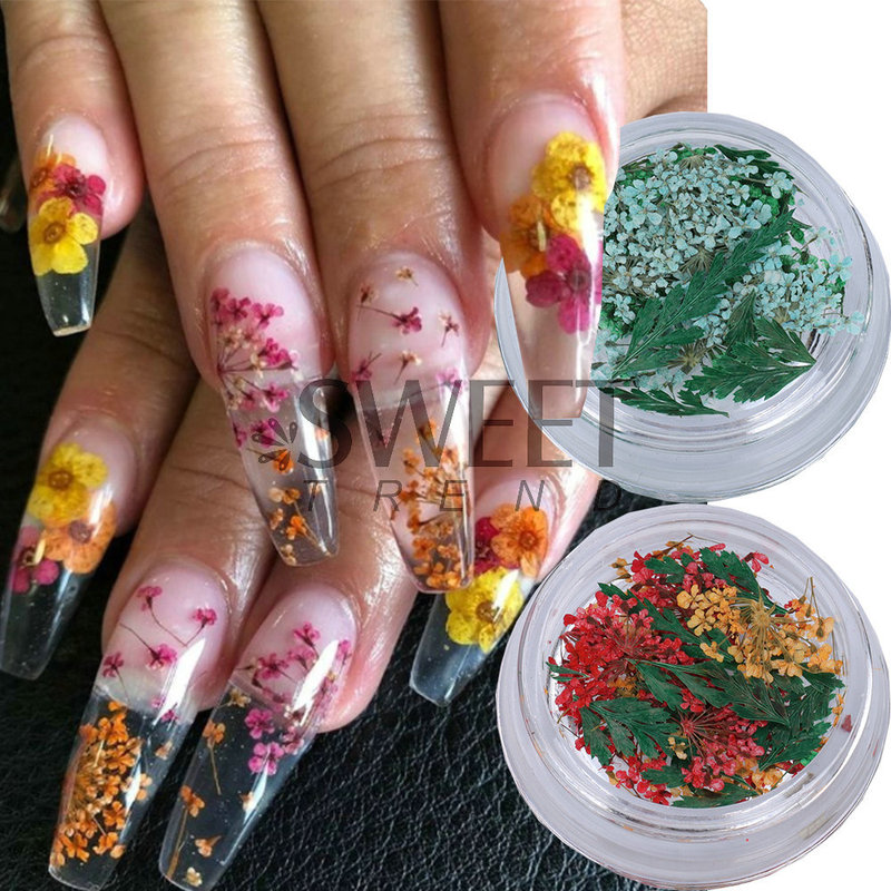 Cross-border hot nail dried flower wholesale Japanese style fresh leaves mixed color lace flower Fern nail dried flower decoration