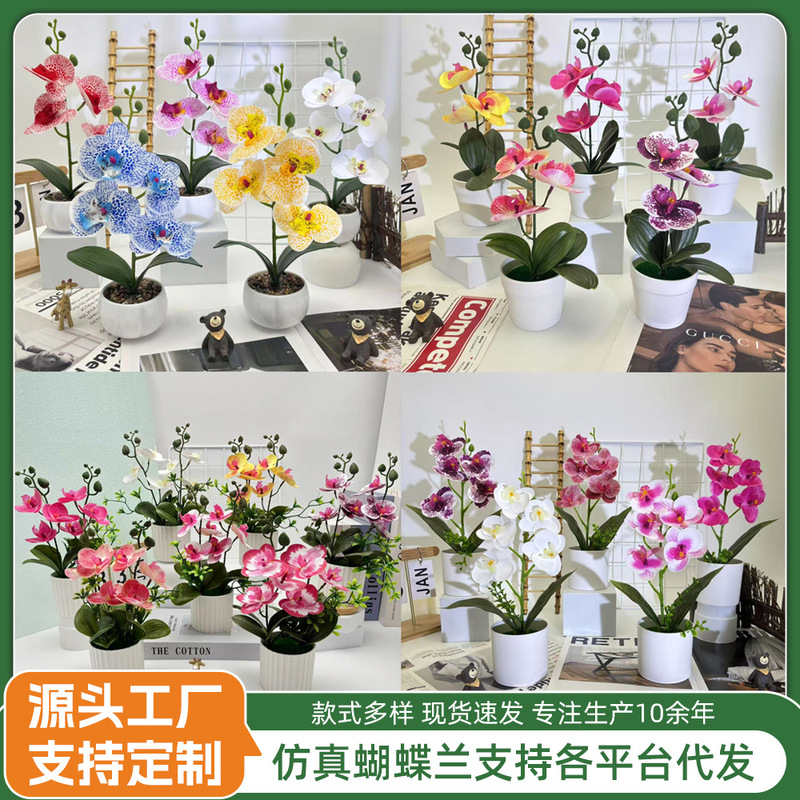 クロスボーダーのシミュレーション胡蝶蘭盆栽花付きデスクトップ装飾プラスチック造花盆栽撮影植木鉢置物花頭|undefined