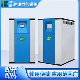蒸汽发生器;燃气锅炉;反渗透设备